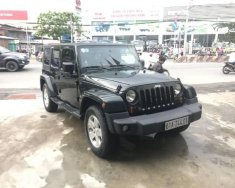 Jeep Wrangler AT 2010 - Cần bán gấp Jeep Wrangler AT đời 2010 giá 1 tỷ 450 tr tại Tp.HCM