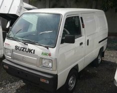 Suzuki Blind Van 2017 - Bán Suzuki Blind Van đời 2017, màu trắng giá 293 triệu tại BR-Vũng Tàu