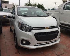 Chevrolet Spark LT 2018 - Chevrolet Spark LT 2018, hỗ trợ vay ngân hàng trả trước 88 tr lấy xe, giao xe tận nhà, 0907148849 giá 389 triệu tại Trà Vinh