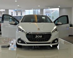 Peugeot 208 2015 - Bán Peugeot 208 đời 2015, màu trắng, nhập khẩu nguyên chiếc, 850tr giá 850 triệu tại Cần Thơ