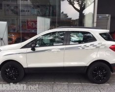 Ford EcoSport 2017 - Bán xe Ford EcoSport đời 2017, màu trắng, nhập khẩu chính hãng giá 200 triệu tại Cà Mau