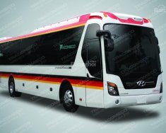 Hyundai Universe 2017 - Cần bán xe Hyundai Universe đời 2017 giá 1 tỷ 200 tr tại Bình Phước