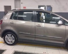 Volkswagen Golf 2016 - Cần bán gấp Volkswagen Golf năm 2016, giá chỉ 700 triệu giá 700 triệu tại Tp.HCM