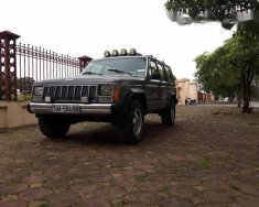 Jeep Cherokee 1990 - Bán Jeep Cherokee đời 1990, nhập khẩu giá 121 triệu tại Hà Nội