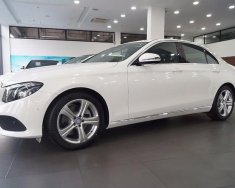 Mercedes-Benz E class E250 2017 - Bán Mercedes E250 đời 2017, màu trắng, nhập khẩu nguyên chiếc giá 2 tỷ 479 tr tại Điện Biên