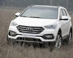 Hyundai Santa Fe 2017 - Cần bán xe Hyundai Santa Fe đời 2017, màu trắng giá 1 tỷ 30 tr tại Hậu Giang