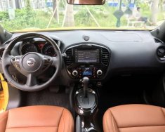 Nissan Juke   1.6AT  2013 - Bán xe Nissan Juke 1.6AT đời 2013, màu vàng, xe nhập giá 740 triệu tại Hà Nội