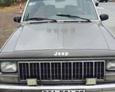 Jeep Cherokee 1995 - Cần bán gấp Jeep Cherokee đời 1995 giá 99 triệu tại Hà Nội