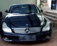 Mercedes-Benz CLS 2010 - Bán xe Mercedes CLS đời 2010, màu đen, nhập khẩu chính hãng giá 495 triệu tại Đồng Nai