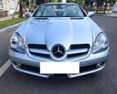 Mercedes-Benz SLK class 200 2010 - Mercedes Benz SLK200 2010 màu bạc, nhập khẩu Đức, biển Hà Nội giá 799 triệu tại Hà Nội