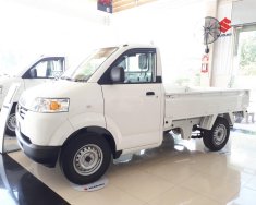 Suzuki Carry Pro  2017 - Bán xe tải Suzuki 750kg nhập khẩu, tặng bảo hiểm TNDS, bảo hiểm vật chất, hỗ trợ vay ngân hàng lãi suất thấp giá 309 triệu tại Vĩnh Long