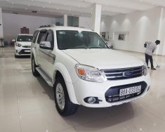 Ford Everest AT 2015 - Bán xe Ford Everest AT năm 2015, màu trắng số tự động, giá 665tr giá 665 triệu tại Tp.HCM