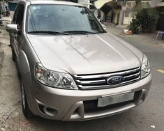 Ford Escape AT 2009 - Bán Ford Escape, đời 2009 số tự động, giá 399tr giá 399 triệu tại Tp.HCM