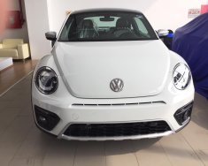 Volkswagen Beetle 2017 - Beetle cuốn hút mọi ánh nhìn, Queen Car giá 1 tỷ 468 tr tại Bình Dương