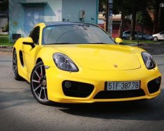 Porsche Cayenne S 2015 - Bán Porsche Cayenne S năm 2015, màu vàng, nhập khẩu nguyên chiếc giá 3 tỷ 950 tr tại Tp.HCM