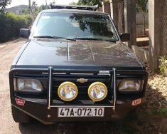 Nissan Pathfinder   1993 - Bán Nissan Pathfinder đời 1993, màu đen, nhập khẩu, giá tốt giá 100 triệu tại Đắk Lắk