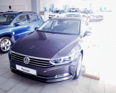 Volkswagen Passat Bluemotion 2018 - Bán Volkswagen Passat Bluemotion đời 2018, nhập khẩu giá 1 tỷ 450 tr tại Đà Nẵng