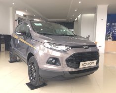 Ford EcoSport 2018 - Bán xe Ford EcoSport (xe 2017). Giá xe chưa giảm, LH Hotline báo giá xe Ford 2018 rẻ nhất: 093.114.2545 - 097.140.7753 giá 530 triệu tại Quảng Ngãi