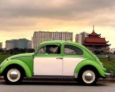 Volkswagen Beetle   1990 - Bán xe Volkswagen Beetle đời 1990, màu xanh, xe nhập giá 292 triệu tại Tp.HCM