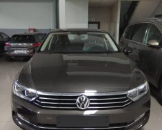 Volkswagen Passat Blue Motion 2017 - Bán Volkswagen Passat Blue Motion 2017, nhập khẩu Mỹ, màu xám giá 1 tỷ 450 tr tại Đà Nẵng