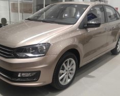 Volkswagen Polo 2017 - Bán xe VW Polo góp từ 8,8tr/tháng, giao trước Tết, nhiều quà tặng giá 699 triệu tại Đồng Nai