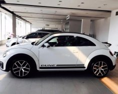 Volkswagen Beetle 2018 - Bán Volkswagen Beetle đời 2018, màu trắng, xe nhập giá 1 tỷ 469 tr tại Bình Dương