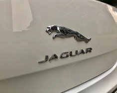 Jaguar XJ 2.0 2014 - Chính chủ bán xe Jaguar XJ 2.0 đời 2014, màu trắng, xe nhập giá 2 tỷ 980 tr tại Hà Nội