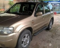 Ford Escape  3.0AT 2002 - Cần bán gấp Ford Escape 3.0AT đời 2002 giá 190 triệu tại An Giang