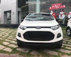 Ford EcoSport 2017 - Bán xe Ford EcoSport đời 2017, màu trắng, nhập khẩu, 650tr giá 650 triệu tại Đồng Tháp