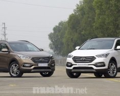 Hyundai Santa Fe 2017 - Bán xe Hyundai Santa Fe đời 2017, màu trắng, nhập khẩu chính hãng giá 1 tỷ 70 tr tại Quảng Ngãi