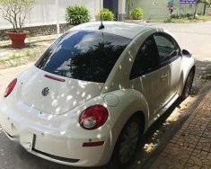 Volkswagen Beetle 2007 - Bán Volkswagen Beetle đời 2007, màu trắng, nhập khẩu giá 470 triệu tại Cần Thơ