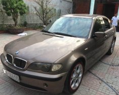 BMW 3 Series 318i 2006 - Cần bán xe BMW 3 Series 318i 2006, màu nâu chính chủ giá 238 triệu tại Tp.HCM