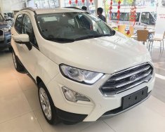 Ford EcoSport 2018 - Bán xe Ford EcoSport 2018 (xe cao cấp). Giá xe chưa giảm, LH Hotline báo giá xe Ford 2018 rẻ nhất: 093.114.2545 giá 545 triệu tại Phú Yên