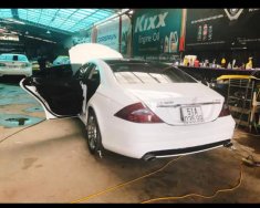 Mercedes-Benz CLS class  CLS 500 2007 - Bán xe Mercedes-Benz CLS 500 2007 giá 750 triệu tại Tp.HCM