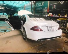 Mercedes-Benz CLS class  CLS500  2007 - Bán xe Mercedes CLS500 sản xuất 2007, màu trắng, nhập khẩu giá 750 triệu tại Tp.HCM