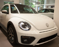 Volkswagen Beetle Dune   2017 - Bán ô tô Volkswagen Beetle Dune 2017, màu trắng, nhập khẩu giá 1 tỷ 469 tr tại Tp.HCM