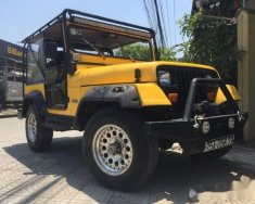 Jeep Wrangler MT 1989 - Bán Jeep Wrangler MT năm 1989, màu vàng giá 210 triệu tại TT - Huế