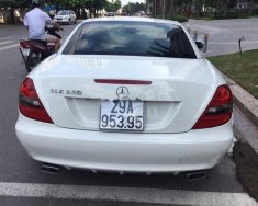 Mercedes-Benz SLK class SLK 350 2010 - Bán Mercedes SLK 350 năm 2010, màu trắng, nhập khẩu   giá 800 triệu tại Hà Nội