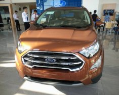 Ford EcoSport 1.0 Ecoboost  2018 - Bán ô tô Ford EcoSport 1.0 Ecoboost đời 2018, màu nâu, xe nhập giá 689 triệu tại Bắc Kạn