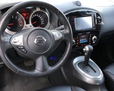 Nissan Juke 2014 - Bán Nissan Juke năm sản xuất 2014, màu đen, nhập khẩu, giá 810tr giá 810 triệu tại Đắk Lắk