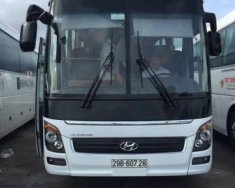 Hyundai Universe 2016 - Bán Hyundai Universe sản xuất năm 2016, màu trắng giá 1 tỷ 800 tr tại Đắk Lắk