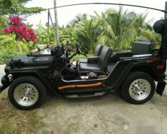 Jeep    1994 - Bán Jeep A2 1994, màu đen, nhập khẩu, 286tr giá 286 triệu tại Vĩnh Long