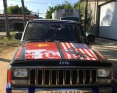 Jeep Cherokee 1994 - Bán Jeep Cherokee năm 1994, nhập khẩu nguyên chiếc giá 95 triệu tại Khánh Hòa