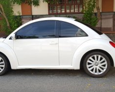 Volkswagen New Beetle 2008 - Bán sêu xe thể thao New Beetle, Tubo, nhập khẩu, chỉ 485tr giá 485 triệu tại Tp.HCM