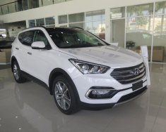 Hyundai Santa Fe 2018 - Bán xe Hyundai Santa Fe -ưu đãi lớn tại Hyundai Cao Bằng giá 903 triệu tại Cao Bằng