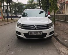 Volkswagen Tiguan 2011 - Cần bán Volkswagen Tiguan đời 2012, màu trắng, nhập khẩu giá cạnh tranh giá 669 triệu tại Hà Nội