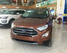 Ford EcoSport Ecoboost 1.0 AT 2018 - Bán Ford EcoSport Ecoboost đời 2018, màu nâu tại Cao Bằng giá 689 triệu tại Cao Bằng
