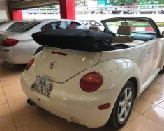 Volkswagen Beetle 2.5 2004 - Cần bán xe Volkswagen Beetle 2.5 2004, màu nâu, xe nhập, 360tr giá 360 triệu tại Hà Nội