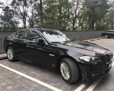 BMW 1 Cũ  5 520i 204 2014 - Xe Cũ BMW 5 520i 2014 giá 1 tỷ 420 tr tại