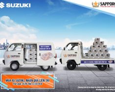 Suzuki Blind Van 2017 - Cần bán xe Suzuki Blind Van sản xuất năm 2017 giá 293 triệu tại Bình Định
